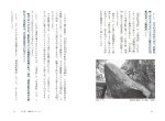 画像12: 十種神宝――封印された〈日本最古のコード〉を解読せよ！ (12)