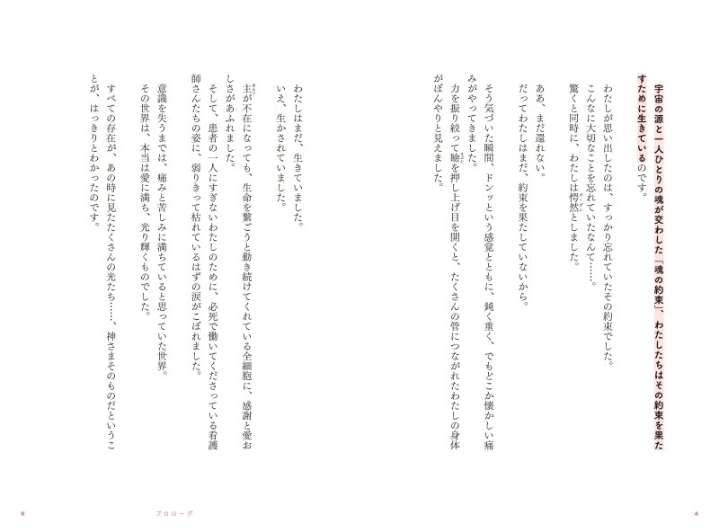 画像6: 神さまライフ　あなたの人生を美しくする魔法 (6)