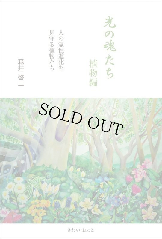 画像1: 光の魂たち　植物編 (1)