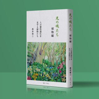 光の魂たち 山岳編 序章