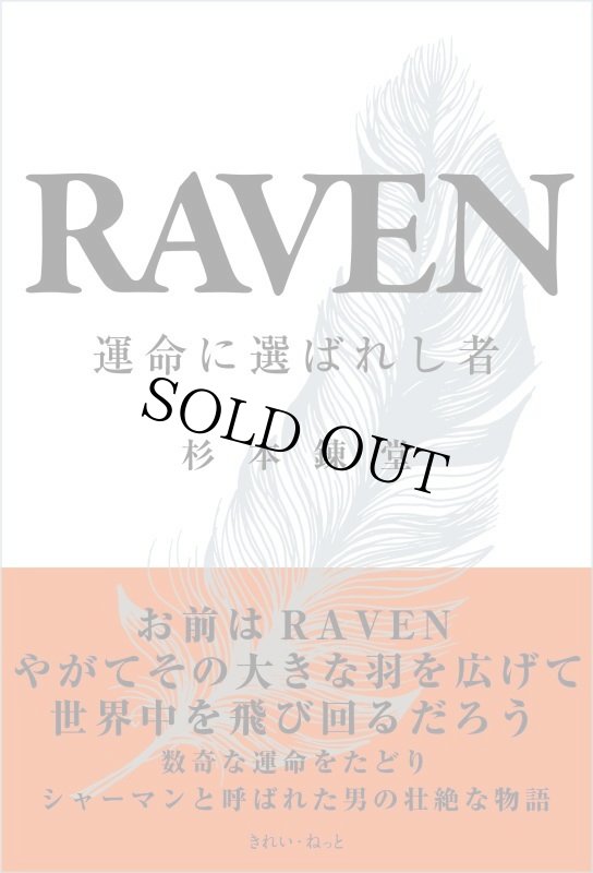 画像2: RAVEN 運命に選ばれし者 (2)