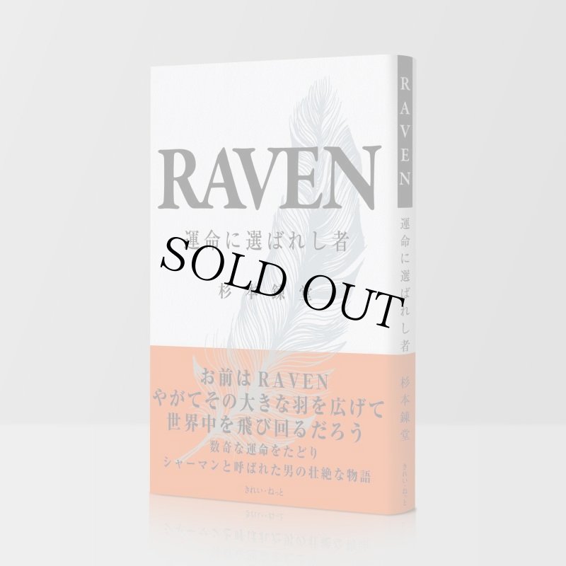画像1: RAVEN 運命に選ばれし者 (1)