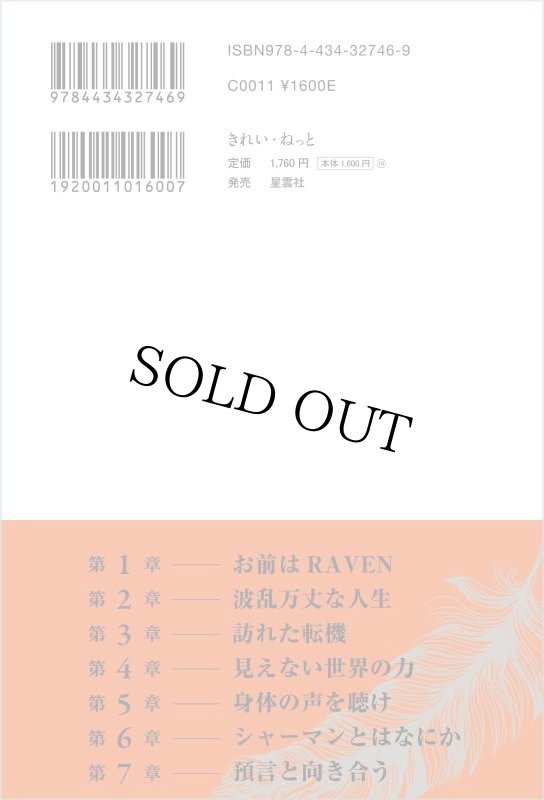 画像3: RAVEN 運命に選ばれし者 (3)